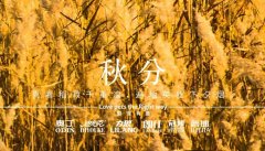 秋分丨晝夜分畫，漸入秋華