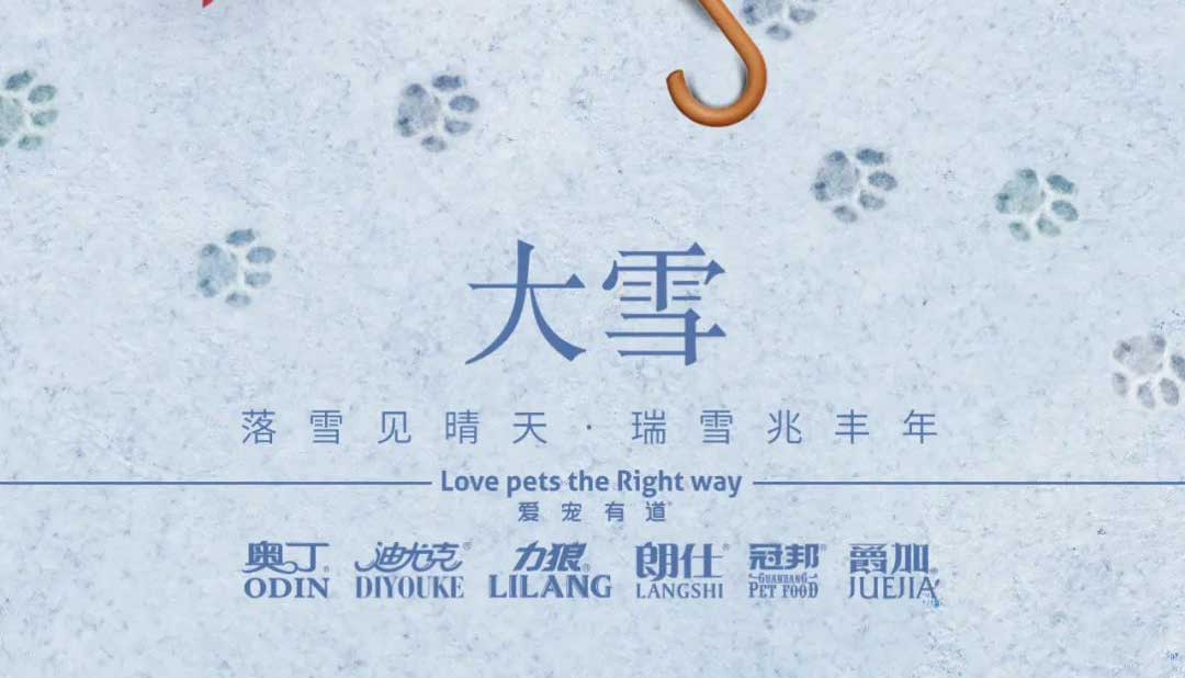 大雪丨雪落知寒意 久伴見初心！