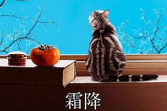 霜降丨縱然霜華盡染，心中美好如初