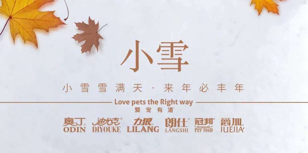 小雪丨天地初寒，歲月安暖
